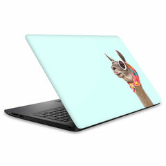 Xiaomi Mi Notebook Air 13.3 (TM1604) Skins & Wraps